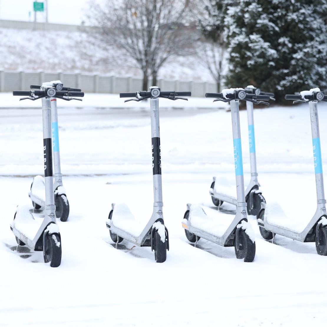 Bird scooters at Waterfront Park - Jan. 19, 2024.JPG
